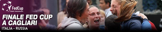 Fed Cup 2013