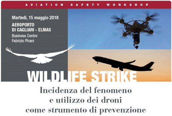wldlifestrike